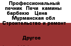 Профессиональный печник. Печи, камины, барбекю › Цена ­ 100 - Мурманская обл. Строительство и ремонт » Другое   